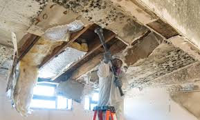 Mold Remediation for Vacation Homes in Dallesport, WA